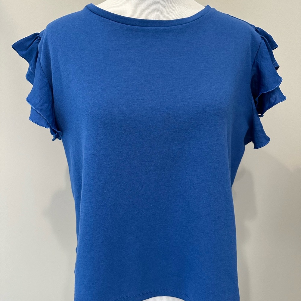 Blue Top, Ruffled Sleeve, Size L